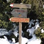 Die Wanderung zur Rossalm ist mit 1h20' ausgeschildert