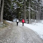 Kurze Wanderung zum Aufhofener Kreuz