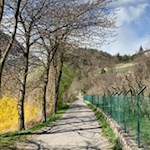 Zunächst führt die Wanderung den Eisack entlang