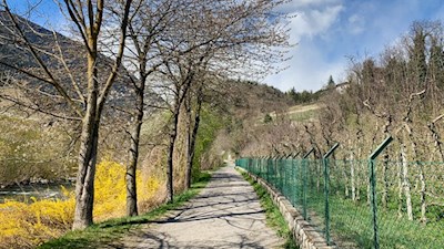 Zunächst führt die Wanderung den Eisack entlang