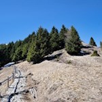 Allmählich lichtet sich der Wald...