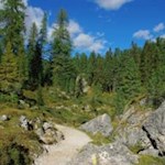 Auf dem Adolf-Munkel-Weg