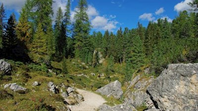 Auf dem Adolf-Munkel-Weg
