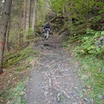 Auf dem steil ansteigenden Waldpfad nach St. Andrä