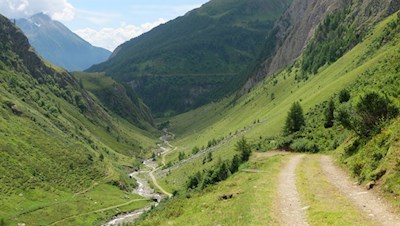 Blick auf den Weitenbergbach