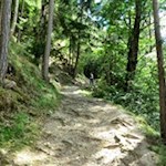 Auf dem wurzelbeschlagenen Weg Nr. 7 nach Klerant