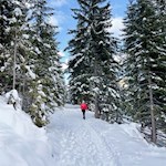 Sanft steigt der gebahnte Weg zum Gasthof Jolanda an
