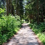 Der Rückweg von der Ramitzler Schwaige erfolgt auf dem Hinweg