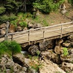 Der Geologensteig führt über zahlreiche kleine Brücken