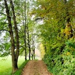 Leichte Wanderung auf dem Ritten