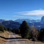 Von der Waldgrenze ist es nicht mehr weit zur Raschötzhütte