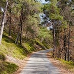 Mitunter quert bzw. folgt der Weg Asphaltstraßen