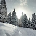 „Ach, die bleiche Sonne Wintersonne! Sie ist traurig wie eine glückliche Erinnerung." (G. Flaubert)