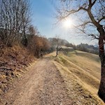 Auf dem sanften Weg Nr. 3 zurück nach Ums