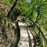 Das kühle Nass verspricht Erfrischung an heißen Tagen