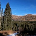 Durch einen dichten Wald zur Coltrondohütte