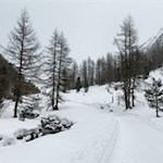 Our hike is accompanied by the cheerfully rippling Rio dei Dossi stream