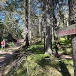 Die Wanderung zur Vöraner Alm ist gut ausgeschildert