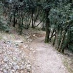 Attraverso la vegetazione mediterranea fino a Tempesta