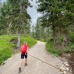 In the steady climb through the forest to the Pralongia moutain hut