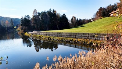 Der Wolfsgrubener See weist eine ausgezeichnete Wasserqualität auf