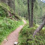 Der Weg Nr. 11 führt auf den Staller Sattel