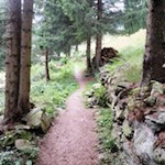 Durch schattenspendende Haine zurück ins Tal