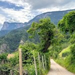 Der Rückweg nach St. Apollonia führt durch schöne Obstwiesen