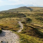 Sanfte Wanderung auf der Lüsner Alm