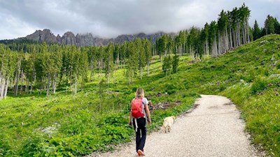 Wanderung vom Karersee zur Malga Secine