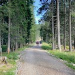 Escursione alla malga Lieg Alm dal passo Lavazè