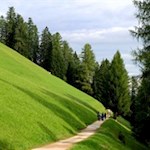 Nahezu eben quert der Weg Wiesen- und Waldhänge