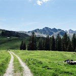 Von der Äußeren Wumblsalm folgt man dem breiten Weg nach unten