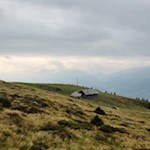 Hühnerspiel unterhalb des Terner Jöchl