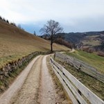 Unterwegs erschließen sich schöne Ausblicke auf den Ritten
