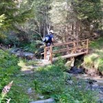 Durch den Wald zur Halslhütte