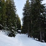 Im sanften Anstieg zur Kaserill Alm