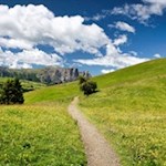 Von der Contrin Schwaige führt der Weg Nr. 6A in Richtung Sanon Hütte