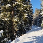 Im steten Anstieg durch den winterlich verschneiten Wald