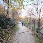Der Panoramaweg zur Haselburg ist bei Einheimischen wie Touristen beliebt