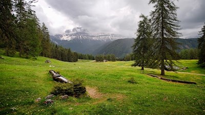 Wuhnleger mit Blick auf den schneebedeckten Rosengarten