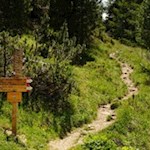 Die Herrensteige sind gut ausgeschildert