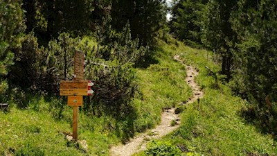 Die Herrensteige sind gut ausgeschildert