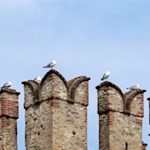 Die charakteristischen Schwalbenschwanzzinnen erinnern noch heute an das einflussreiche Geschlecht der Scaligeri