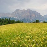 Il monte Cavallo, la Varella e la cima Conturines si ergono dietro i pittoreschi prati di Störes