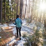 Im Schein der linden Wintersonne zum Aufhofener Kreuz