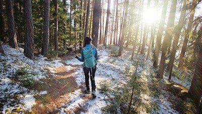 Im Schein der linden Wintersonne zum Aufhofener Kreuz