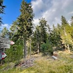 Nahe dem Freienbühel zweigt der Weg nach Kreuztal ab