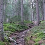 Wer möchte, kann auch die Abkürzungen durch den Wald nehmen