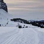 Sanft schlängelt sich der Winterwanderweg durch die Landschaft